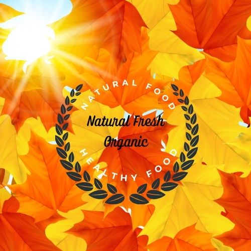 Natural Organic Farm