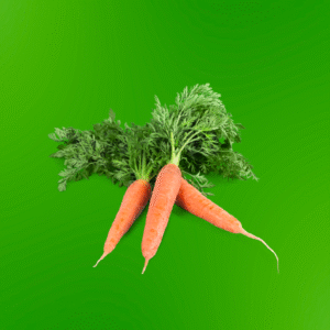 Carrot